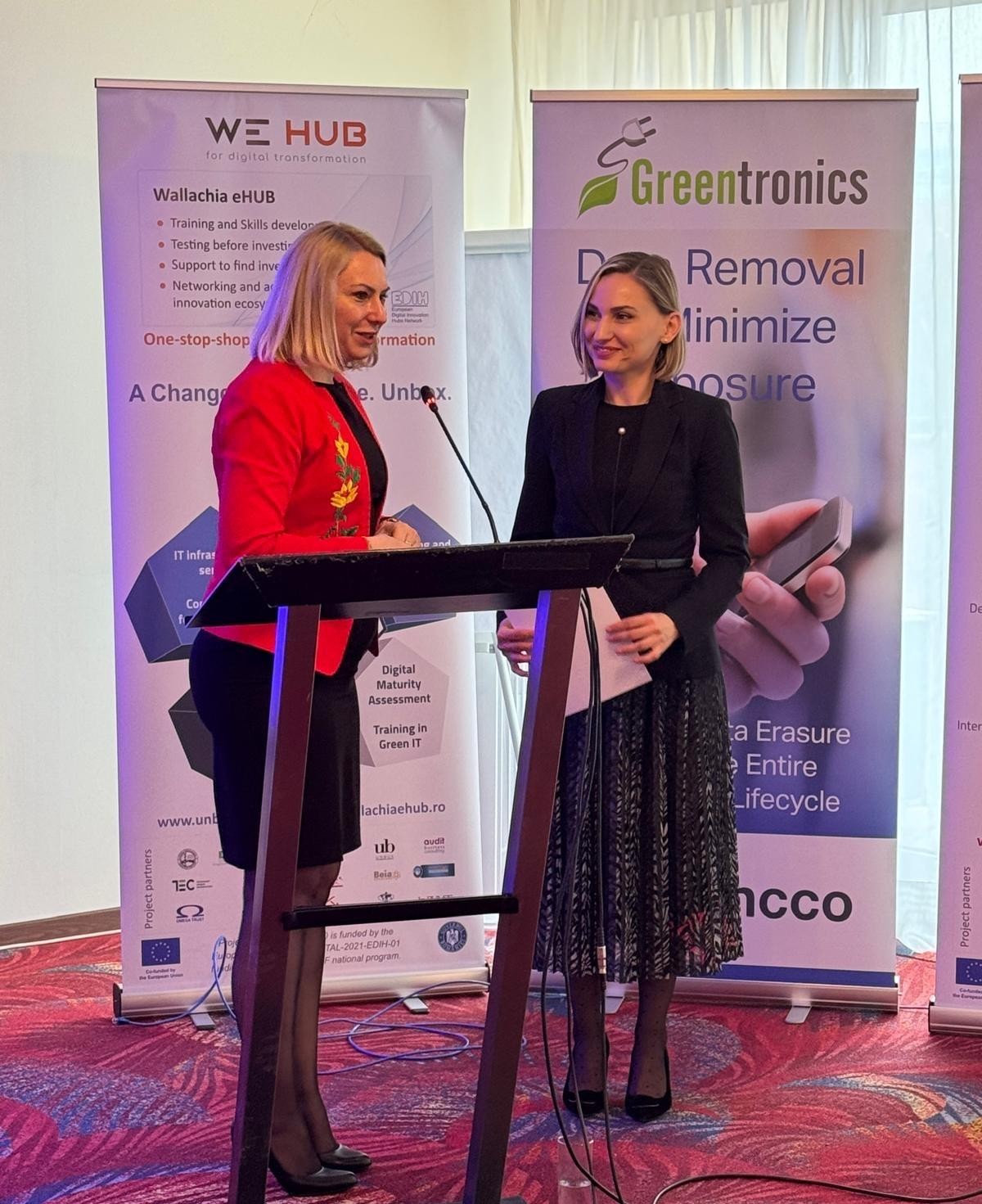 Ambasador Corina Sterea 1