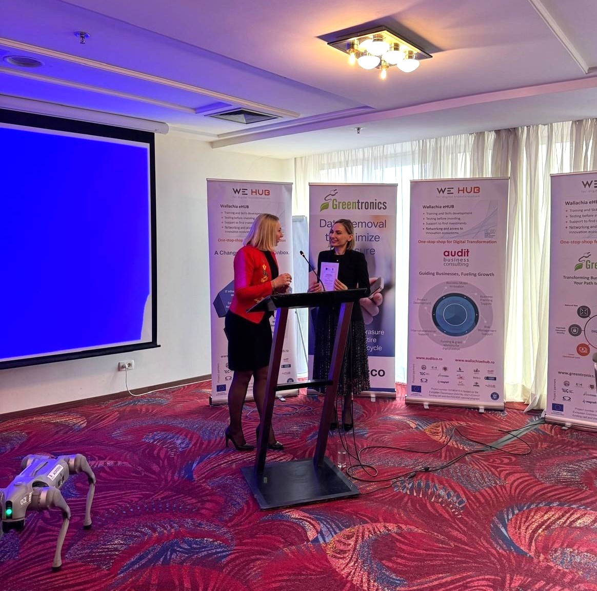Ambasador Corina Sterea 2