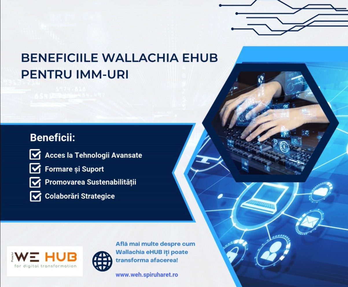 Beneficiile Wallachia eHUB pentru IMM